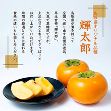 画像をギャラリービューアに読み込む, 【鳥取県八頭町産】<訳あり> 輝太郎柿 3kg(8~10玉) 注文締切10月25日