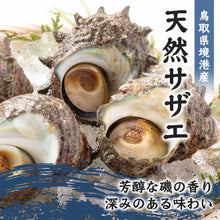画像をギャラリービューアに読み込む, 【鳥取・島根産】天然サザエ(無選別)