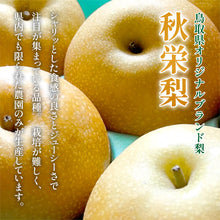 画像をギャラリービューアに読み込む, 【鳥取県八頭郡産】訳あり秋栄梨 5kg はっとうフルーツ観光園 9月上旬以降順次発送/9月14日注文締切