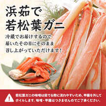 画像をギャラリービューアに読み込む, 【鳥取/鳥取港】ボイル若松葉ガニ 肩脚 (今年度販売終了)