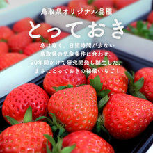 画像をギャラリービューアに読み込む, 【鳥取県産いちご】とっておき 1kg(250g×4パック)