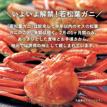 画像をギャラリービューアに読み込む, 【鳥取/鳥取港】活生 若松葉ガニ 2月15日注文締め切り(今年度販売終了)