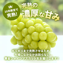 画像をギャラリービューアに読み込む, 【鳥取県産】完熟黄金シャインマスカット 1kg(2~3房) 注文締切10月15日