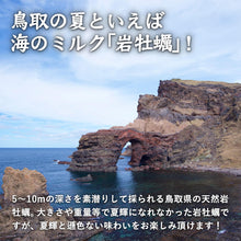 画像をギャラリービューアに読み込む, 【境港産】天然岩牡蠣(サイズ不選別) 殻開け済(殻の側面に隙間を開けた状態でお届け)8月15日注文締切