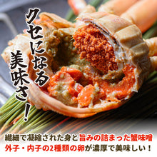 画像をギャラリービューアに読み込む, 【鳥取/網代港】<訳あり>親ガニ(セコガニ) 1kgセット(5~8枚入り) 足折れ1~3本 11月10日出荷開始予定