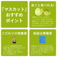 画像をギャラリービューアに読み込む, 【鳥取県産】シャインマスカット 1kg(2~3房) 9月20日以降順次発送