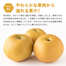 画像をギャラリービューアに読み込む, 【鳥取県鳥取市産】秋甘泉 秀品 5kg 国府選果場 9月上旬以降順次発送