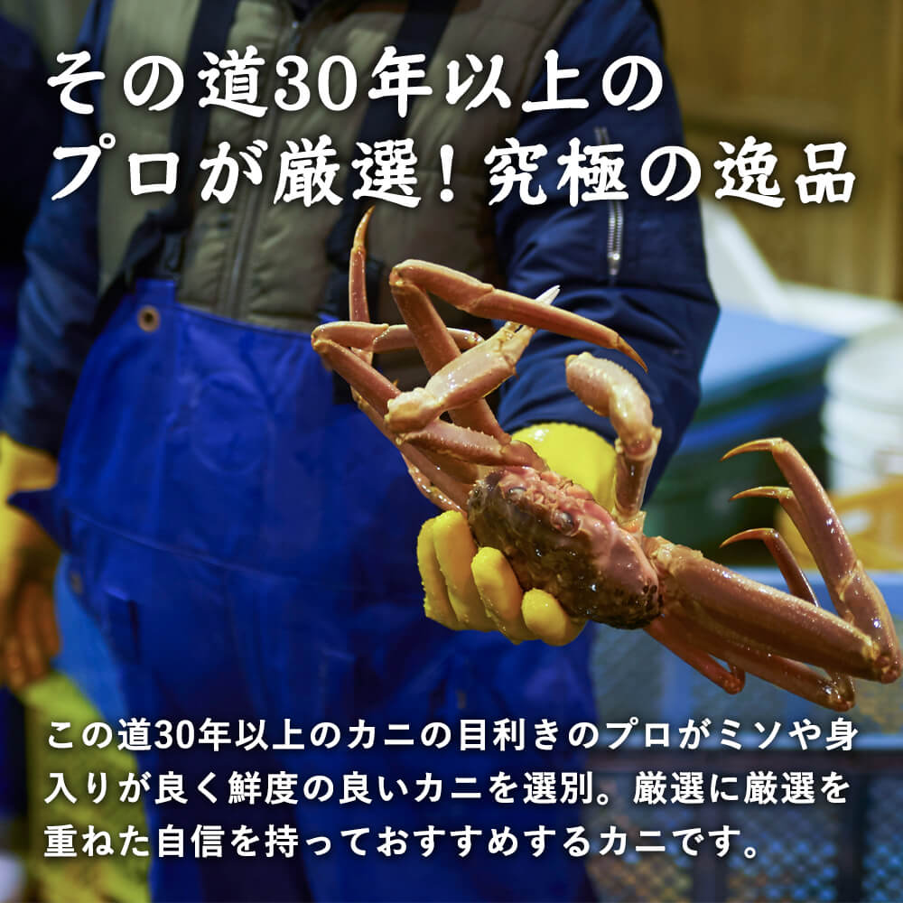 送料無料》【鳥取県産】ボイル 紅ズワイガニ 特A級 – さんチョク