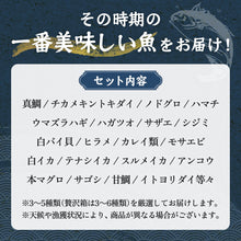画像をギャラリービューアに読み込む, 境港の魚屋さんのおまかせ鮮魚セット(3~5種) 下処理済み
