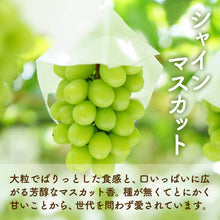 画像をギャラリービューアに読み込む, 9月1日順次発送/8月30日注文締切【島根県産】神紅&シャインマスカットの食べ比べセット 2房(400~500g/房) 家庭用
