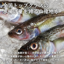 画像をギャラリービューアに読み込む, 【山陰沖産】ハタハタ一夜干し(冷凍) 小サイズ