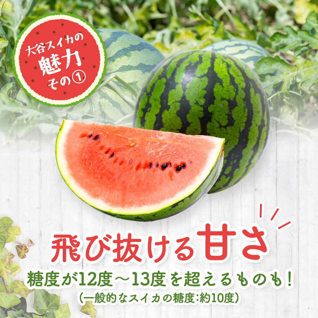 6月中旬以降順次発送【鳥取県産】大谷スイカ（8～10kg） – さんチョク