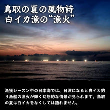 画像をギャラリービューアに読み込む, 【山陰沖産】白イカ 単品