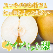 画像をギャラリービューアに読み込む, 【鳥取県八頭郡産】新甘泉 秀品 はっとうフルーツ観光園 注文締切9月9日