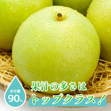 画像をギャラリービューアに読み込む, 【鳥取県八頭郡産】訳あり二十世紀梨 5kg はっとうフルーツ観光園 9月中旬以降順次発送/9月9日注文締切