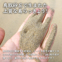 画像をギャラリービューアに読み込む, 【鳥取県産】鳥取砂丘の砂付き島らっきょう