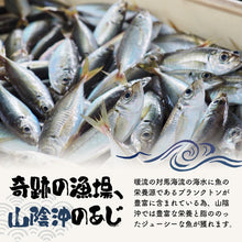 画像をギャラリービューアに読み込む, 【山陰沖産】そのまんま食堂 骨まで食べられるあじ開き(2尾入り)