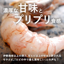 画像をギャラリービューアに読み込む, 《送料無料》【真空冷凍】猛者エビ(モサエビ)大中サイズ