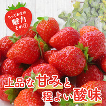 画像をギャラリービューアに読み込む, 【鳥取県産いちご】とっておき 1kg(250g×4パック)