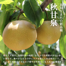 画像をギャラリービューアに読み込む, 【鳥取県鳥取市産】訳あり秋甘泉 5kg 農楽猫農園 9月中旬以降順次発送 注文締切9月12日