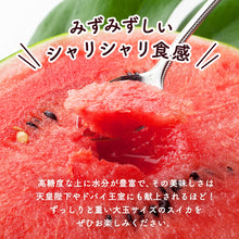 画像をギャラリービューアに読み込む, 【鳥取県産】大栄スイカ 注文締切7月10日