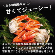 画像をギャラリービューアに読み込む, 【鳥取/鳥取港】活生 若松葉ガニ 2月15日注文締め切り(今年度販売終了)