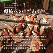 画像をギャラリービューアに読み込む, 【鳥取県産】平飼い鶏のいのちのたまご