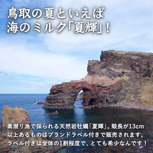 画像をギャラリービューアに読み込む, 【境港産】天然岩牡蠣 夏輝(ラベル付) 小サイズ(1個/300~390g級)殻開け済(殻の側面に隙間を開けた状態でお届け)8月15日注文締切