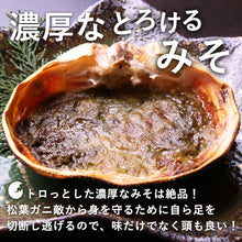 画像をギャラリービューアに読み込む, 【鳥取/鳥取港】 <訳あり>松葉ガニ A級(訳あり) 足折れ1本(小指除く) 早割価格の注文締切11月26日まで