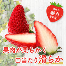 画像をギャラリービューアに読み込む, 【鳥取県産いちご】章姫 1kg(250g×4パック)