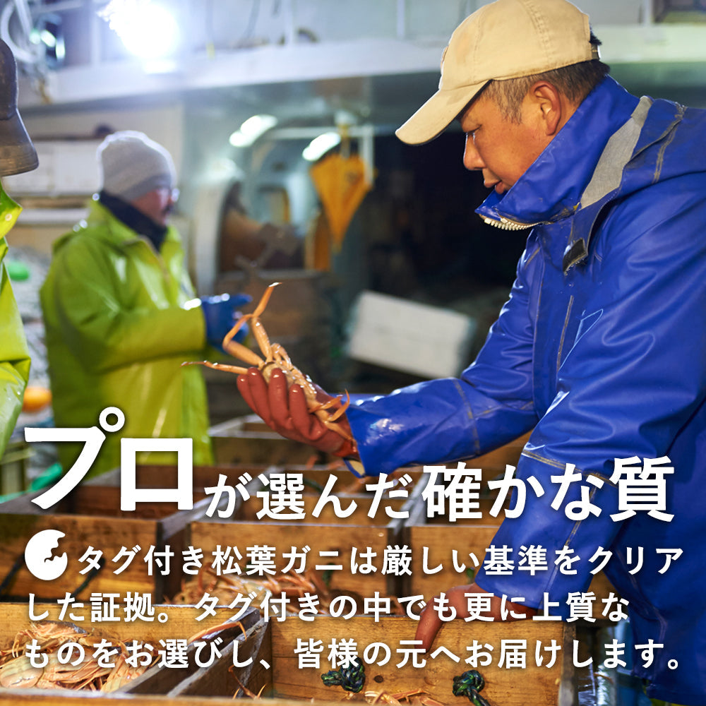 【着日指定可】【竹】極選松葉ガニ 600g級 鳥取県産 ブランドタグ付