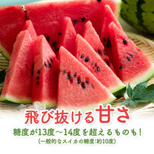 画像をギャラリービューアに読み込む, 【鳥取県産】大栄スイカ 注文締切7月10日
