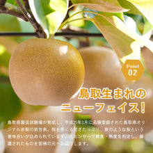 画像をギャラリービューアに読み込む, 【鳥取県鳥取市産】秋甘泉 秀品 5kg 国府選果場 9月上旬以降順次発送