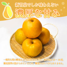 画像をギャラリービューアに読み込む, 【鳥取県八頭郡産】新甘泉 秀品 はっとうフルーツ観光園 注文締切9月9日