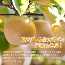 画像をギャラリービューアに読み込む, 【鳥取県福部町産】新甘泉 秀品 東光園 注文締切9月13日まで