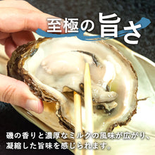 画像をギャラリービューアに読み込む, 【鳥取県産】天然岩牡蠣 夏輝(ラベル無) 中サイズ(1個/350~500g級)8月11日注文締切