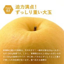 画像をギャラリービューアに読み込む, 【鳥取県八頭郡】新興梨 秀品 5kg まる大農園 10月20日注文締切