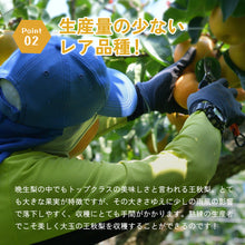 画像をギャラリービューアに読み込む, 【鳥取県八頭郡】訳あり王秋梨 5kg まる大農園 10月31日注文締切