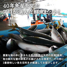 画像をギャラリービューアに読み込む, 境港の魚屋さんのおまかせ鮮魚セット 贅沢箱(3~6種) 下処理済み