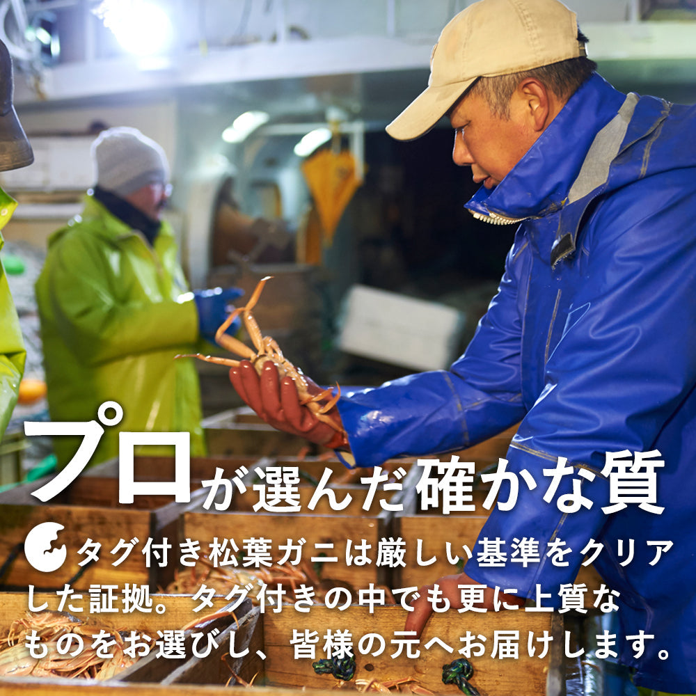 【着日指定可】【極】極選松葉ガニ 1kg級 鳥取県産 ブランドタグ付