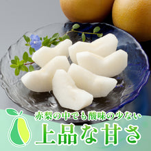 画像をギャラリービューアに読み込む, 【鳥取県八頭郡産】訳あり 秋月梨 はっとうフルーツ観光園 9月下旬以降順次発送/9月30日注文締切