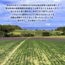 画像をギャラリービューアに読み込む, 【鳥取県福部町産】生洗いらっきょう3kg&らっきょう酢2Lセット サイズ無選別(ML中心)注文締切7月6日まで