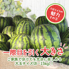 画像をギャラリービューアに読み込む, 【鳥取県産】大玉の大谷スイカ(8~10kg)6月中旬以降出荷