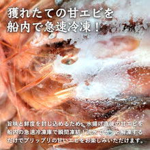 画像をギャラリービューアに読み込む, 【鳥取県産】甘エビ 中サイズ(1パック40尾前後)