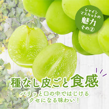画像をギャラリービューアに読み込む, 9月1日順次発送/8月30日注文締切【島根県産】シャインマスカット 2kg(3~4房) 進物用