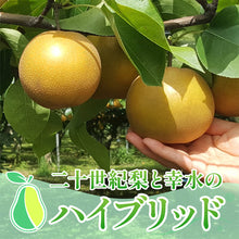 画像をギャラリービューアに読み込む, 【鳥取県八頭郡産】訳あり秋栄梨 5kg はっとうフルーツ観光園 9月上旬以降順次発送/9月14日注文締切
