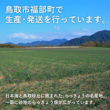 画像をギャラリービューアに読み込む, 【鳥取県産】根付き砂丘らっきょう サイズ不選別(SML混在)注文締切6月22日まで