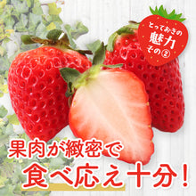 画像をギャラリービューアに読み込む, 【鳥取県産いちご】とっておき 1kg(250g×4パック)