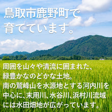画像をギャラリービューアに読み込む, 【鳥取県産】鹿野地鶏食べ比べ5種類セット(冷凍)