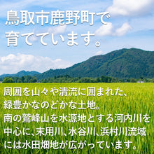 画像をギャラリービューアに読み込む, 【鳥取県産】鹿野地鶏 手羽先500g×2(冷凍)